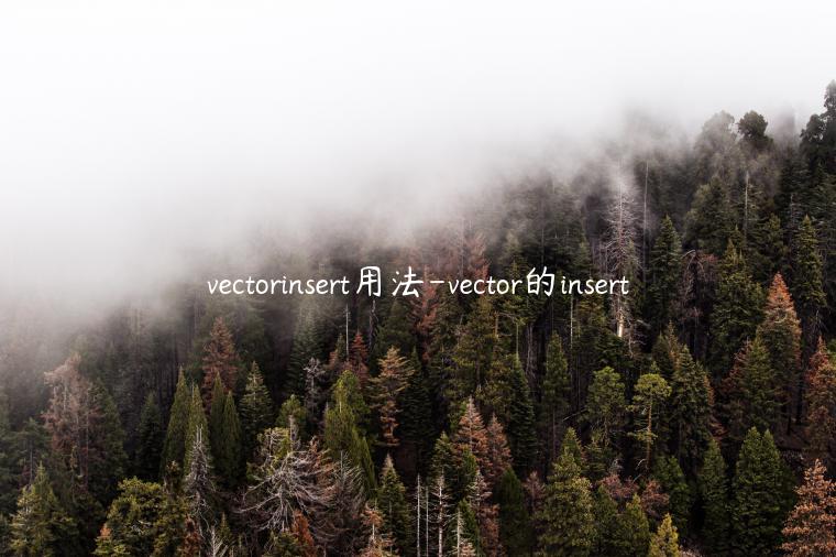 vectorinsert用法-vector的insert