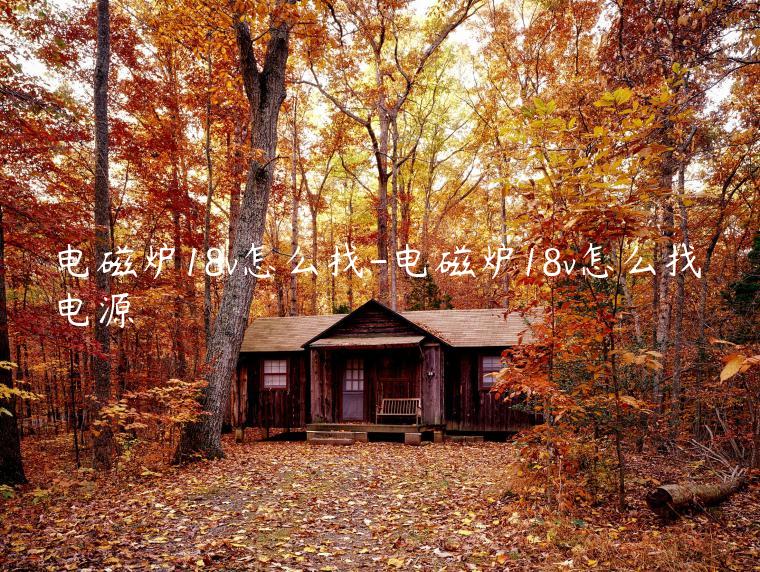 电磁炉18v怎么找-电磁炉18v怎么找电源
