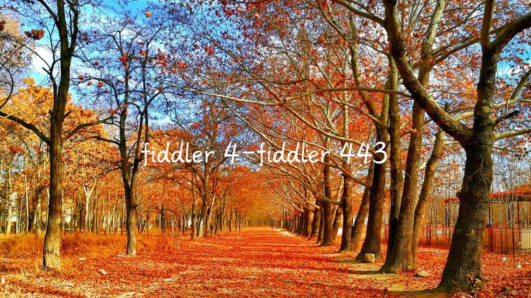 fiddler 4-fiddler 443