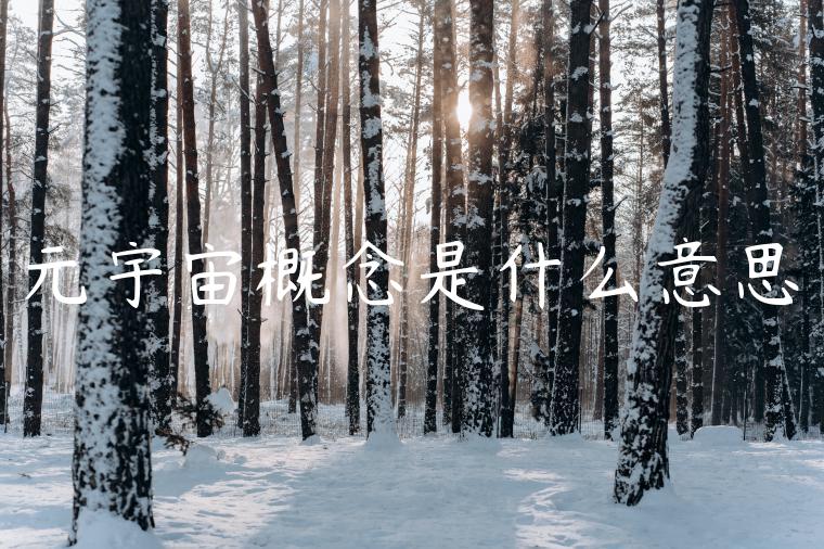 元宇宙概念是什么意思
