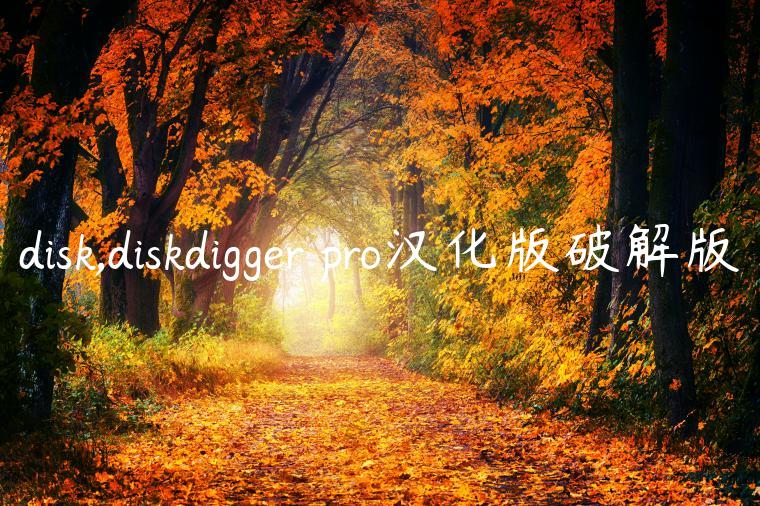 disk,diskdigger pro汉化版破解版