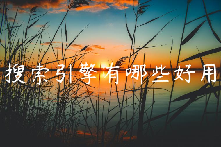 搜索引擎有哪些好用