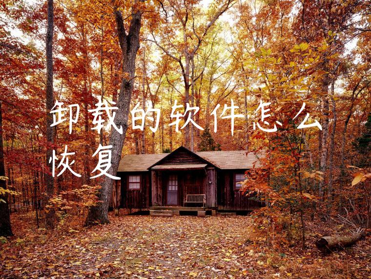 卸载的软件怎么恢复