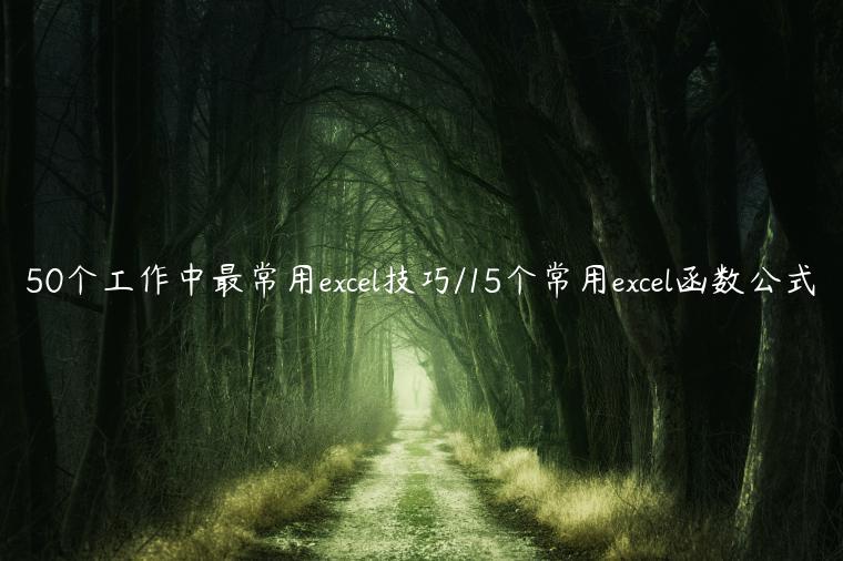 50个工作中最常用excel技巧/15个常用excel函数公式