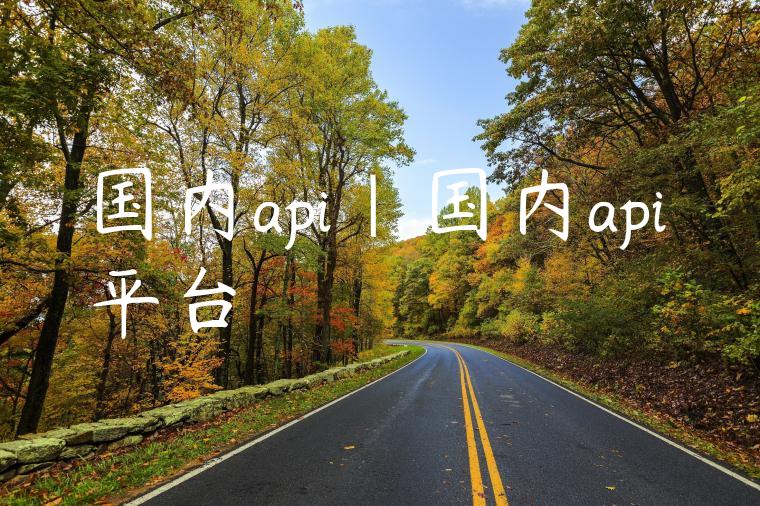 国内api|国内api平台