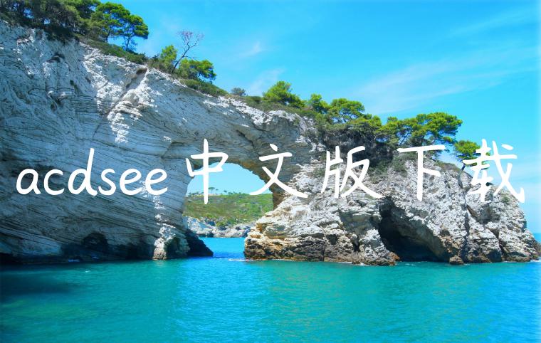acdsee中文版下载