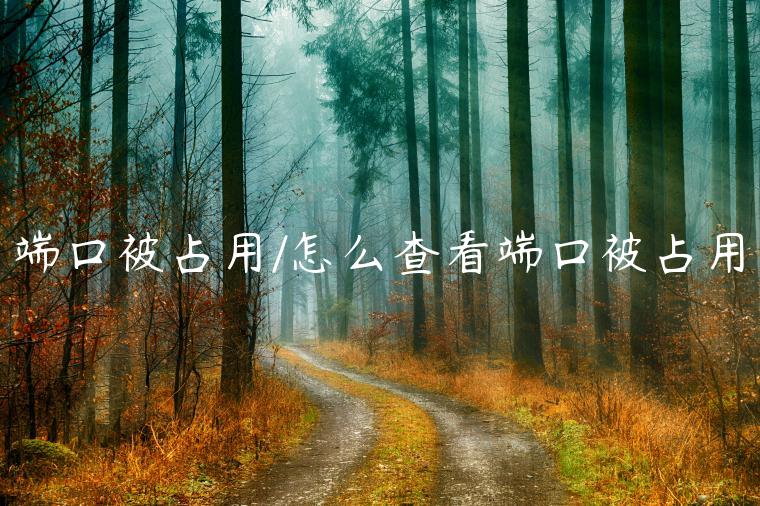 端口被占用/怎么查看端口被占用
