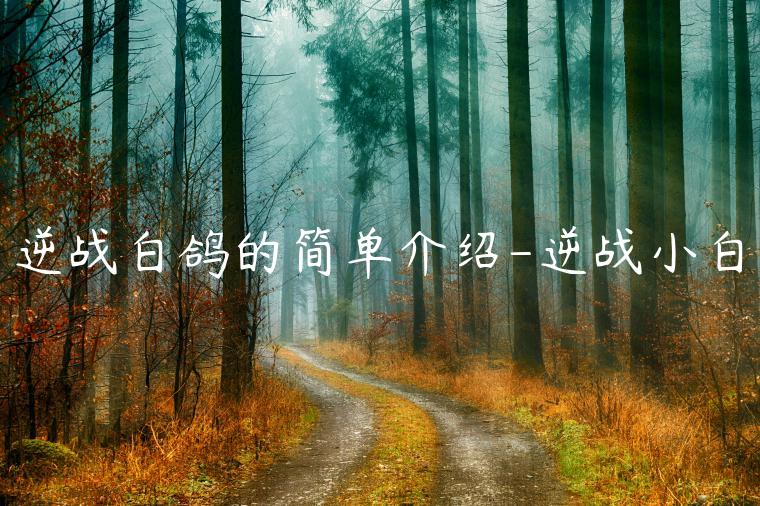 逆战白鸽的简单介绍-逆战小白