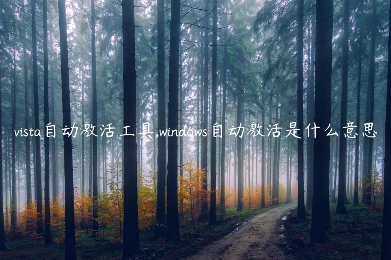 vista自动激活工具,windows自动激活是什么意思