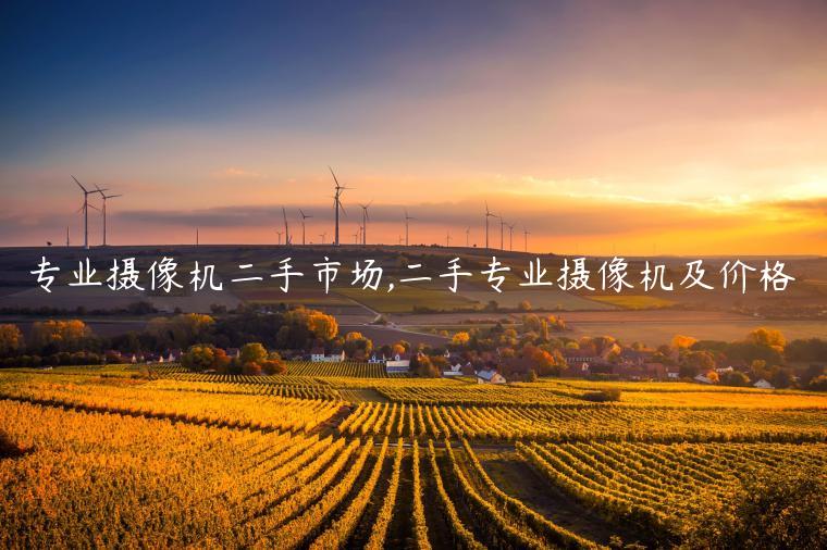 专业摄像机二手市场,二手专业摄像机及价格