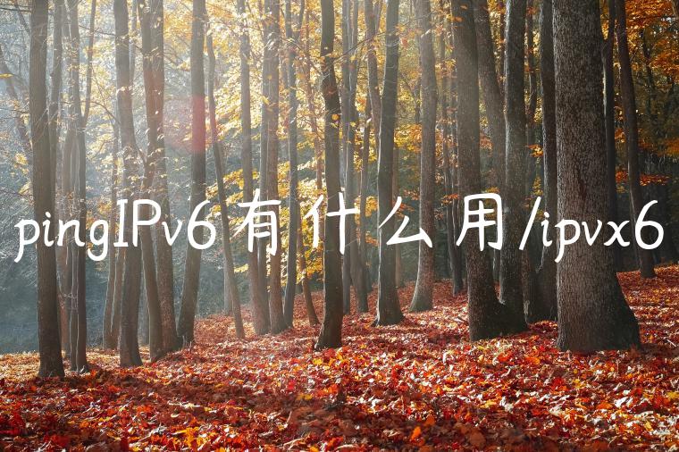 pingIPv6有什么用/ipvx6