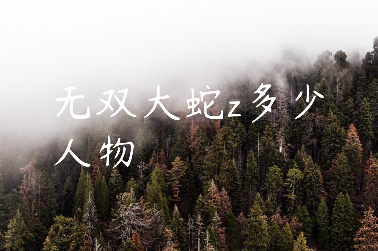 无双大蛇z多少人物