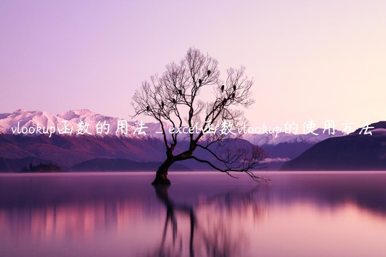 vlookup函数的用法_excel函数vlookup的使用方法