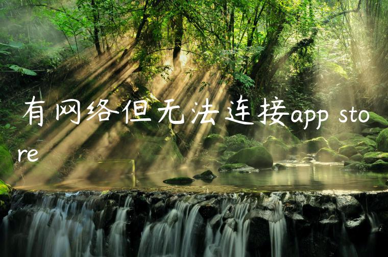 有网络但无法连接app store