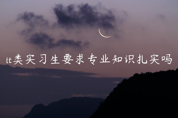 it类实习生要求专业知识扎实吗