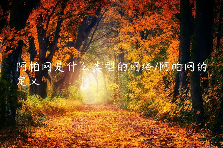 阿帕网是什么类型的网络/阿帕网的定义
