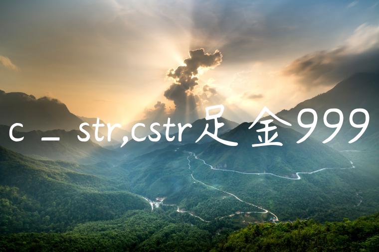 c_str,cstr足金999