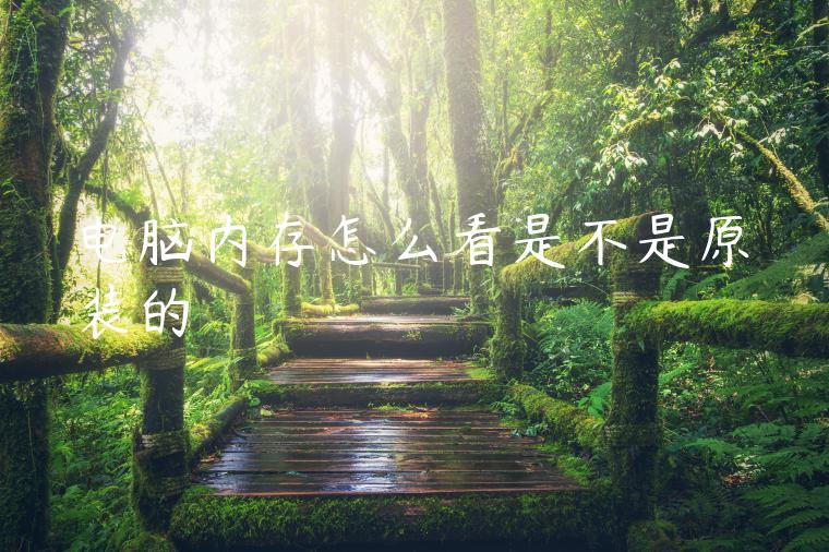 电脑内存怎么看是不是原装的