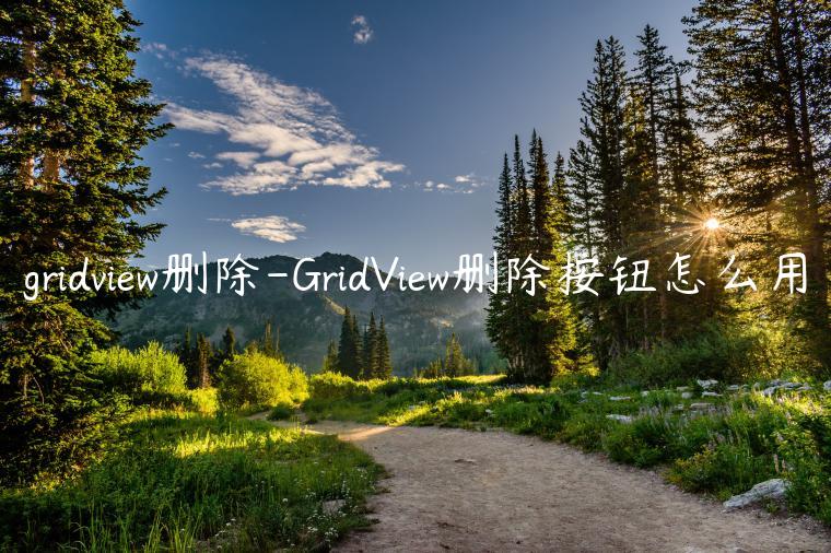 gridview删除-GridView删除按钮怎么用
