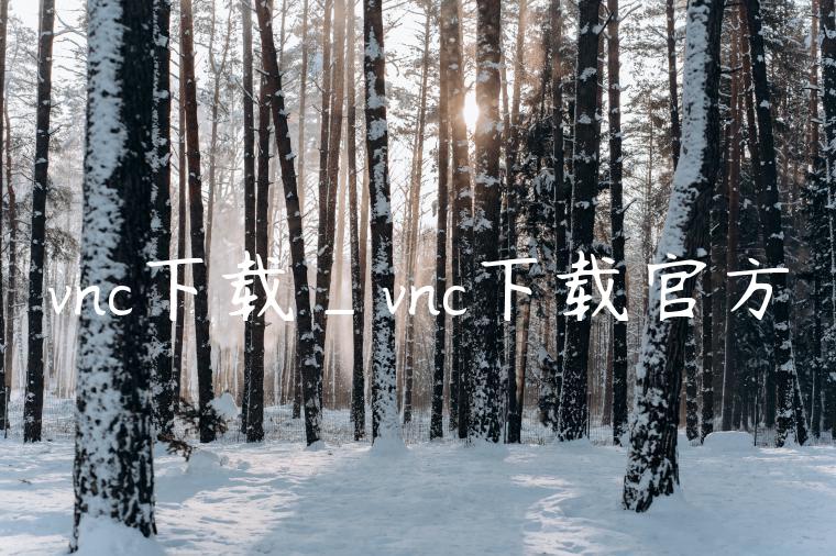 vnc下载_vnc下载官方