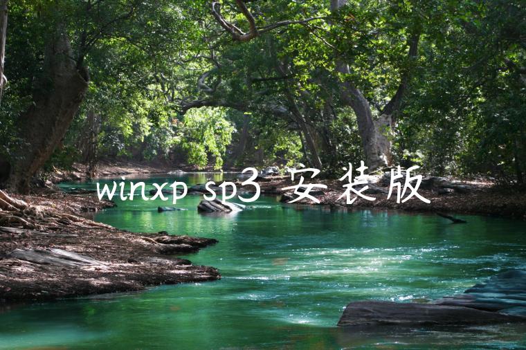winxp sp3 安装版