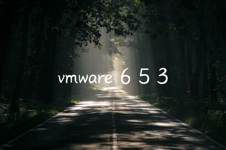 vmware 6 5 3