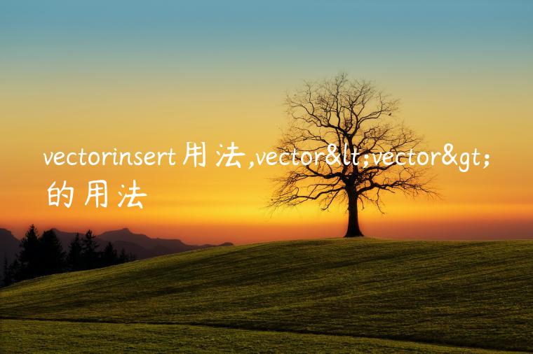 vectorinsert用法,vector<vector>的用法