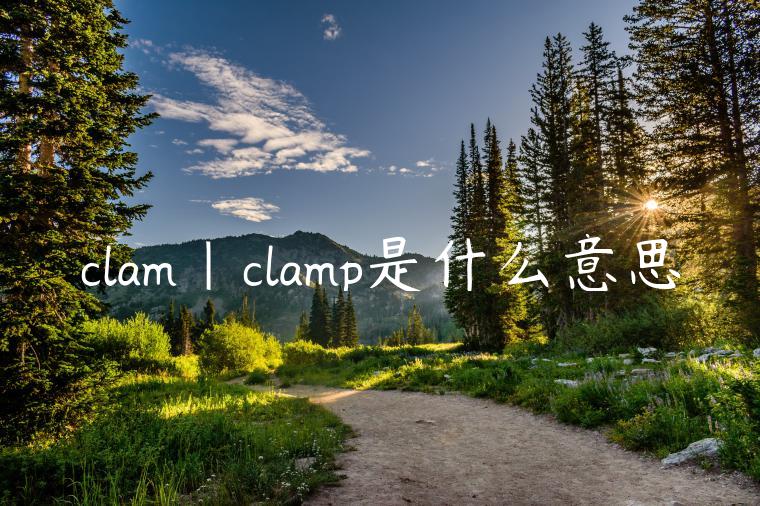 clam|clamp是什么意思