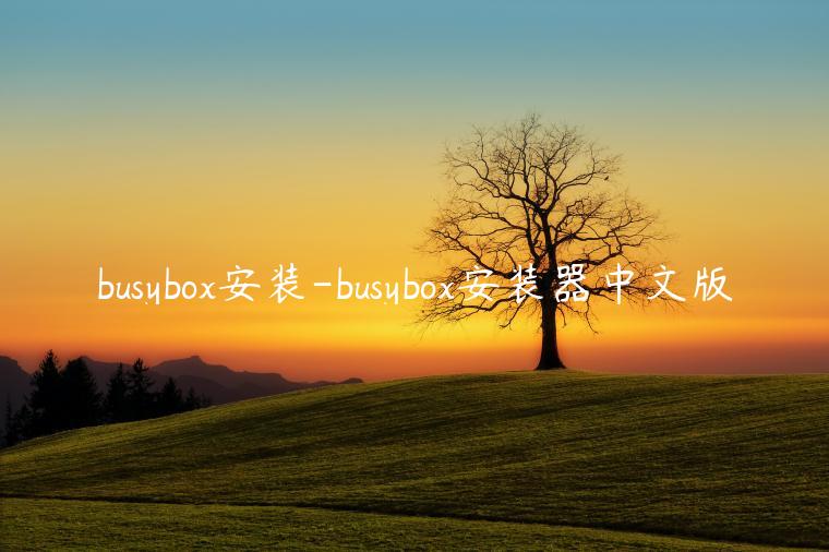 busybox安装-busybox安装器中文版