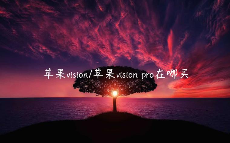 苹果vision/苹果vision pro在哪买
