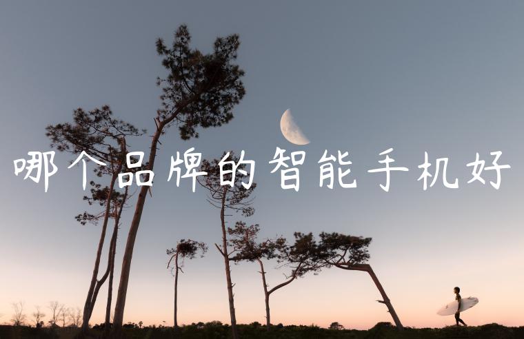 哪个品牌的智能手机好