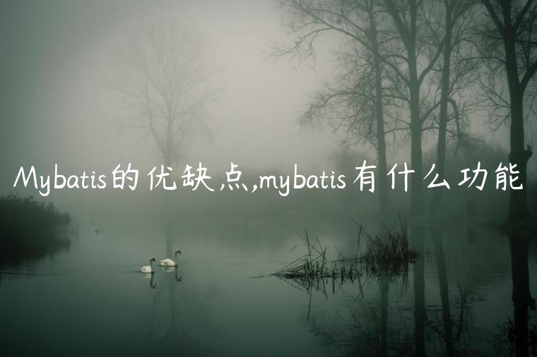 Mybatis的优缺点,mybatis有什么功能