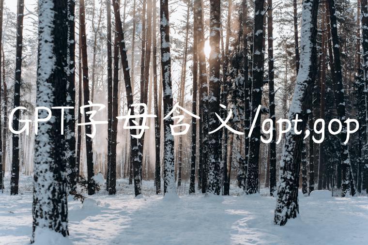 GPT字母含义/gpt,gop