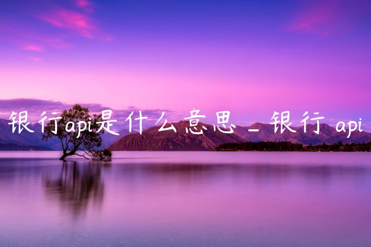 银行api是什么意思_银行 api