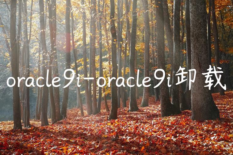 oracle9i-oracle9i卸载