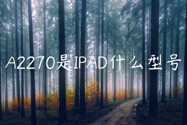 A2270是IPAD什么型号