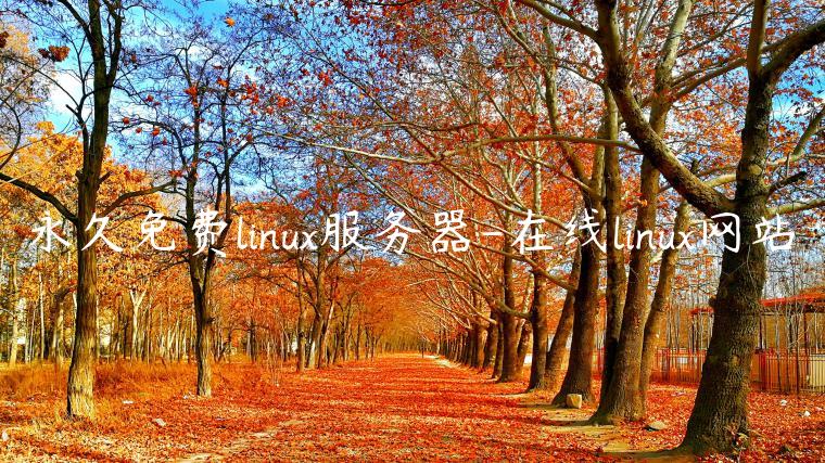 永久免费linux服务器-在线linux网站