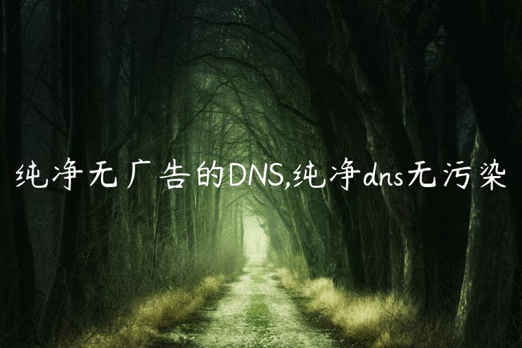 纯净无广告的DNS,纯净dns无污染