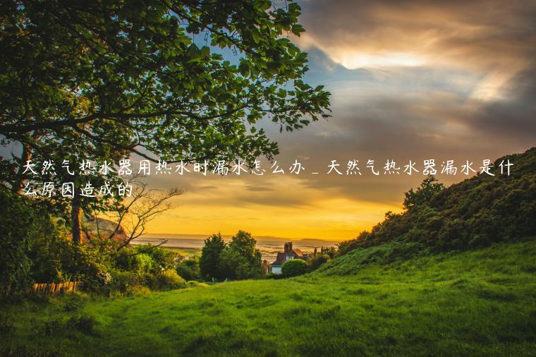 天然气热水器用热水时漏水怎么办_天然气热水器漏水是什么原因造成的