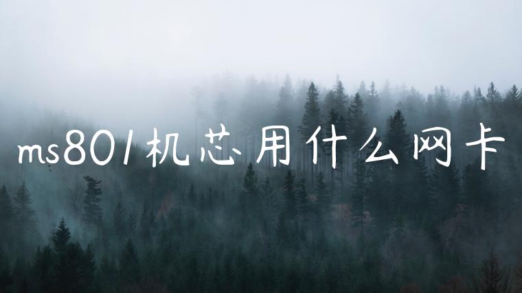 ms801机芯用什么网卡