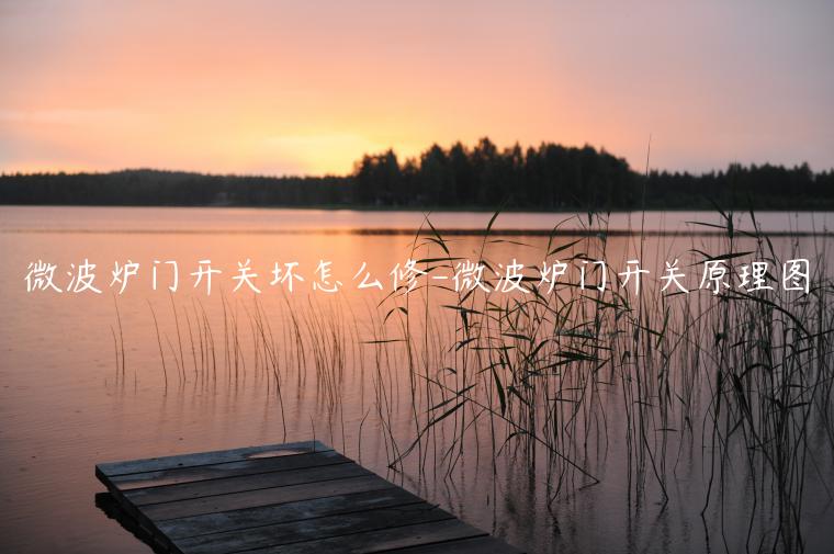 微波炉门开关坏怎么修-微波炉门开关原理图
