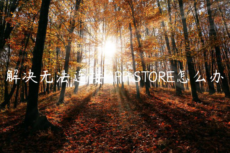 解决无法连接APP STORE怎么办