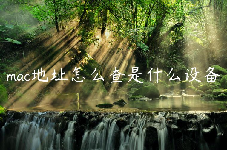 mac地址怎么查是什么设备
