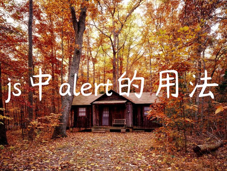 js中alert的用法