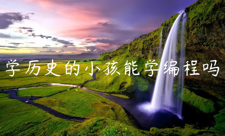 学历史的小孩能学编程吗