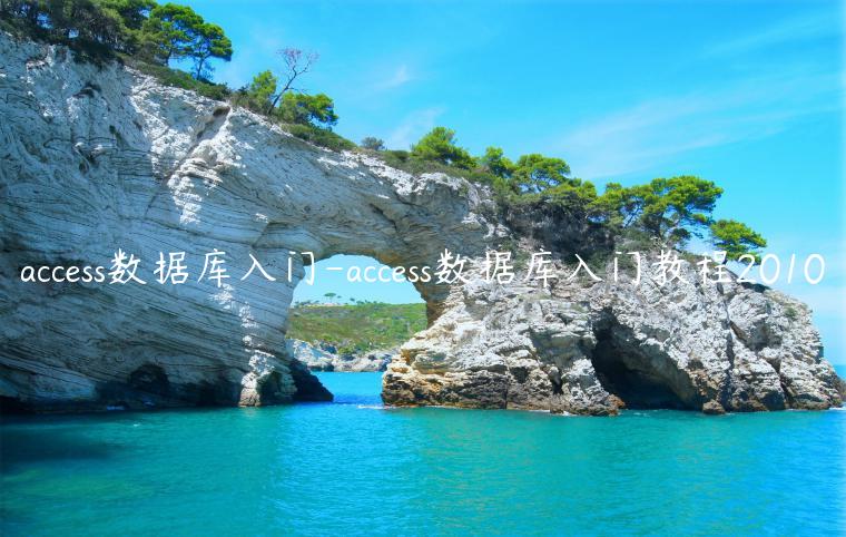 access数据库入门-access数据库入门教程2010