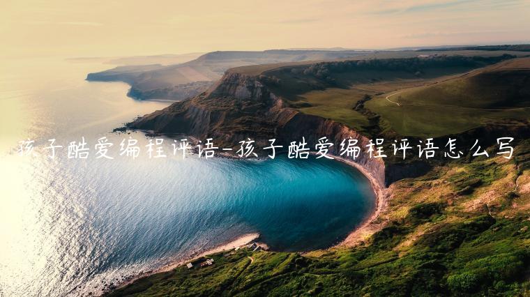 孩子酷爱编程评语-孩子酷爱编程评语怎么写