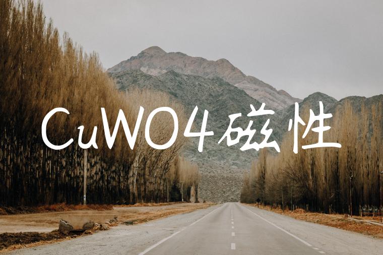 CuWO4磁性