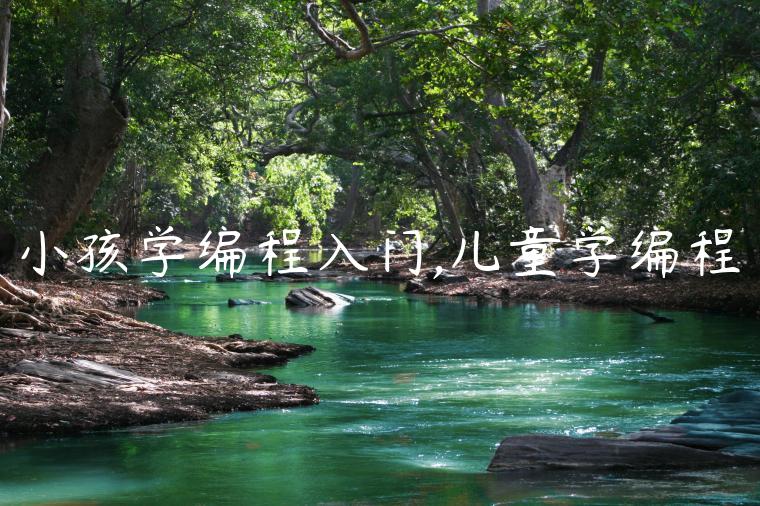 小孩学编程入门,儿童学编程