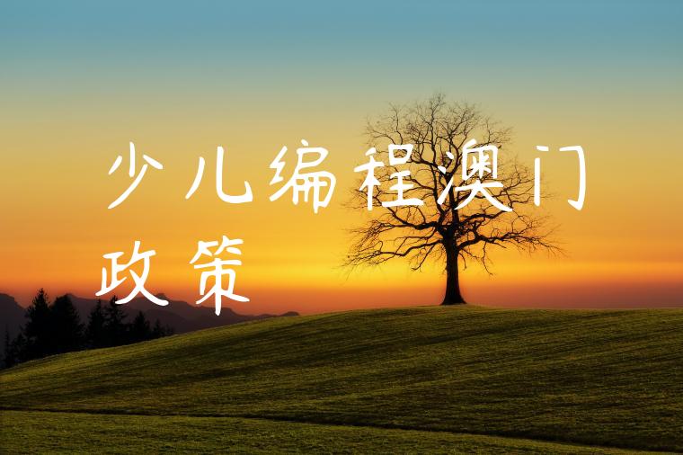 少儿编程澳门政策